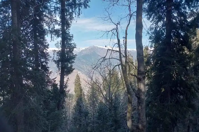 Weather & Best Time to Visit Siri Paye